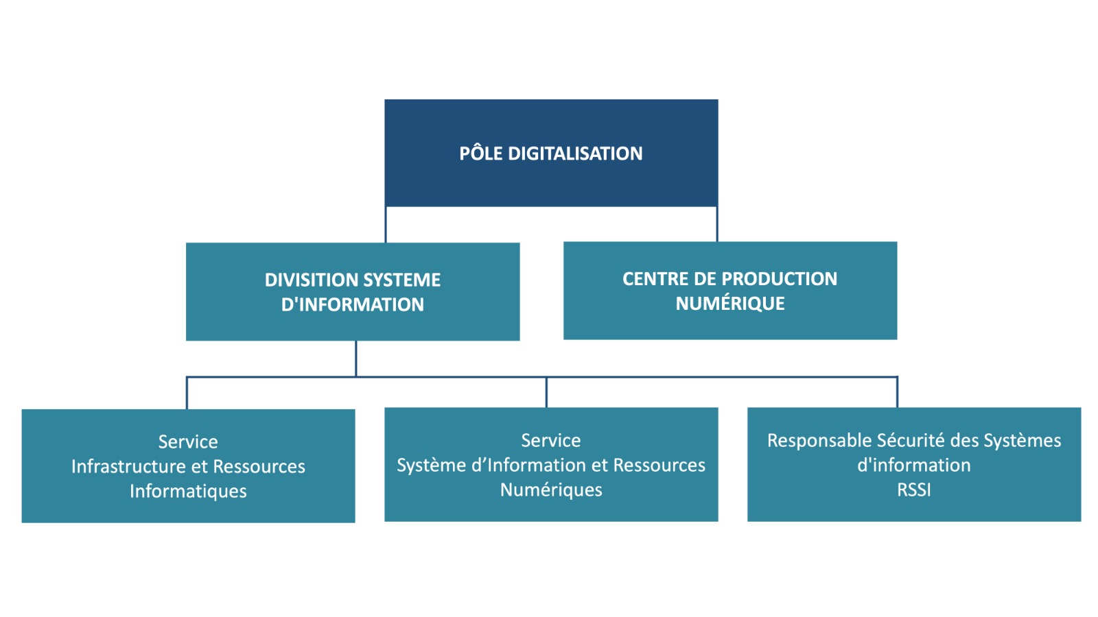 Organisation du pôle 